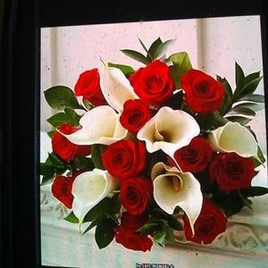 Meet your Posher, Beatriz